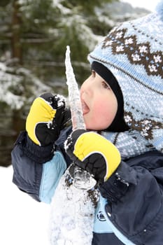 small boy eat icicle in winter on mountains