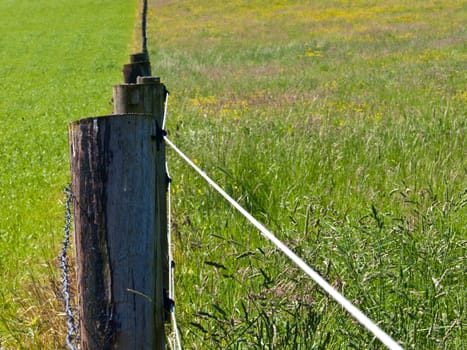 Pasture fence