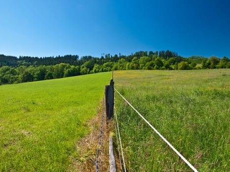 Pasture fence