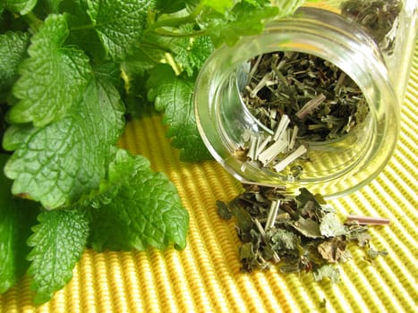 Tea herbs with lemon balm