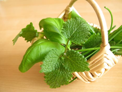 Herb basket