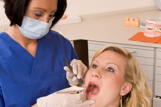 Dentist