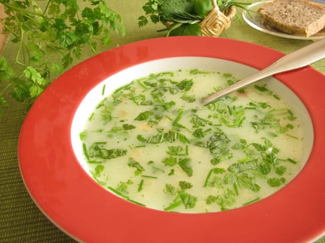 Cream of herb soup