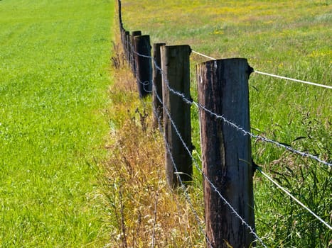 Pasture fence