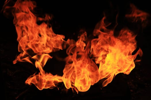 Close-up of fire and flames on a black background