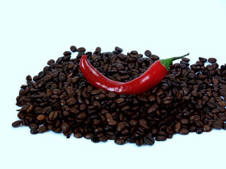 Hot Coffee