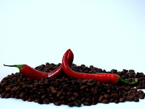 Hot Coffee