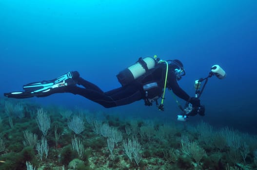 Underwater Photographer