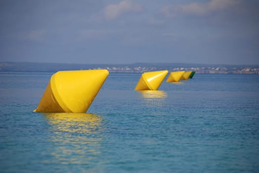 Buoy