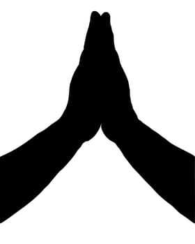 Praying Hands