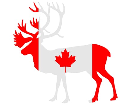 Canadian Caribou