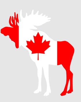 Moose in Canada Flag