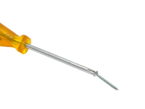 Phillips screwdriver with screw