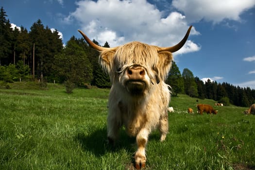Here I come......