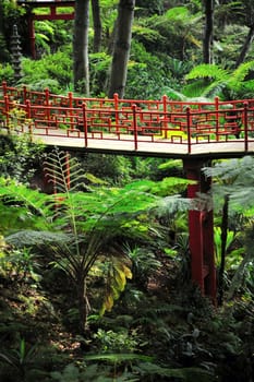 Monte Palace Tropical Garden - Madeira