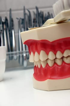 Denture model with toothbrush