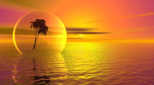 Palm tree in a bubble on the ocean