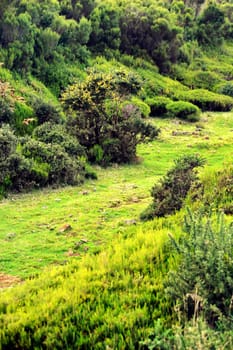 Plateau of Parque natural de Madeira, Madeira island, Portugal