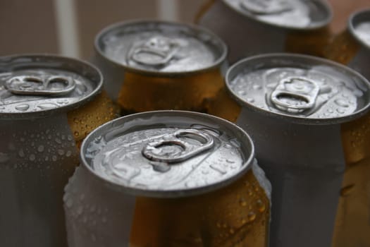 Beer cans