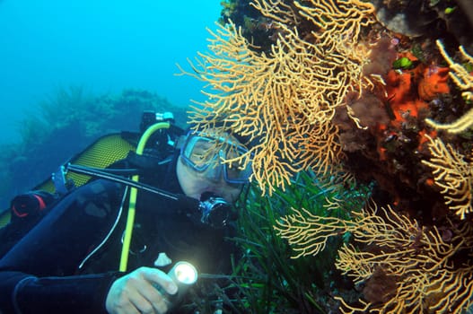 Divers in the Mediterranean Sea