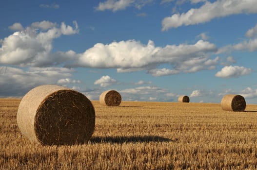 Straw rolls