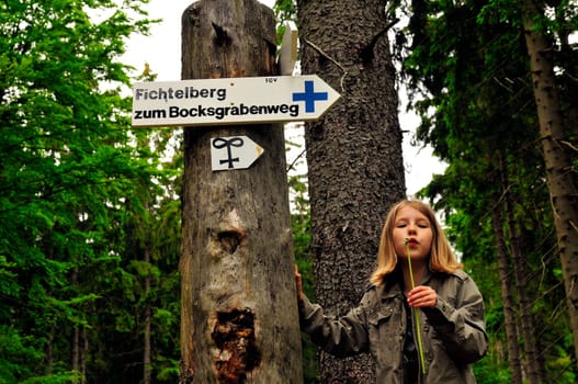 Child Forest Hiking Sign