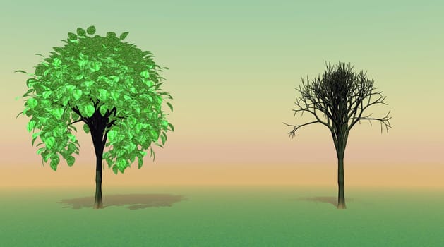 Dead and alive trees