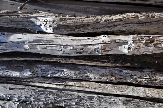 Old Wood