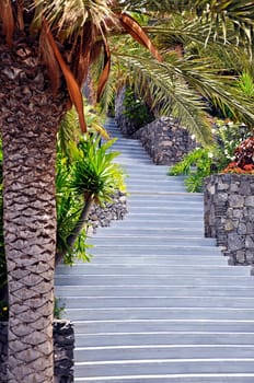 Stairway to Paradise