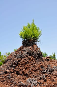 Top of the Hill