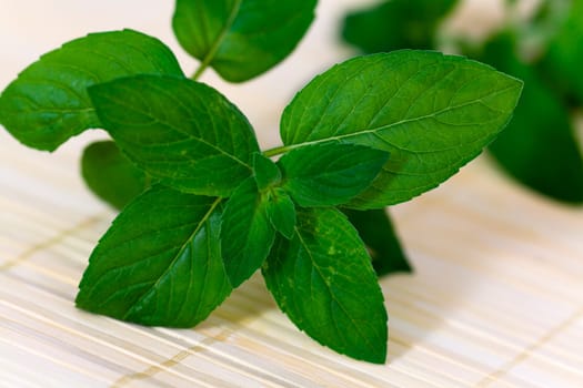 Peppermint