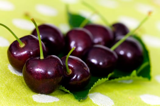 Fresh cherries