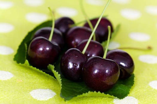 Fresh cherries
