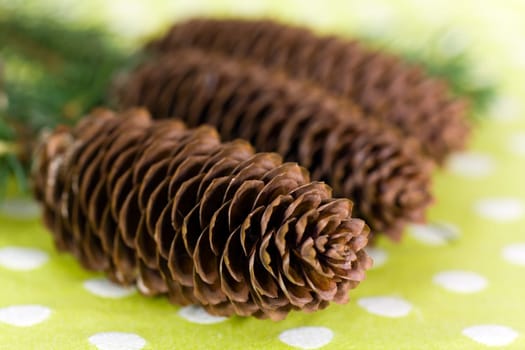 Pine cones with needles