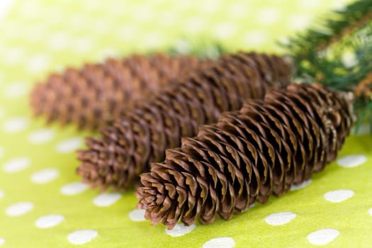 Pine cones with needles