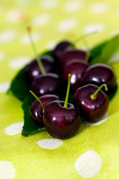 Fresh cherries