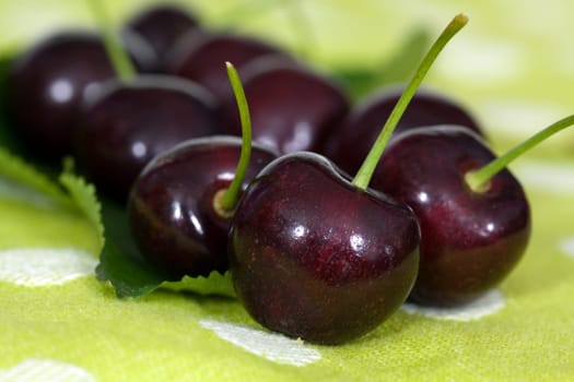 Fresh cherries