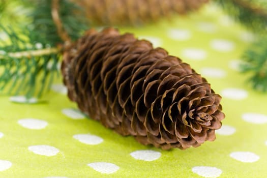 Pine cones with needles