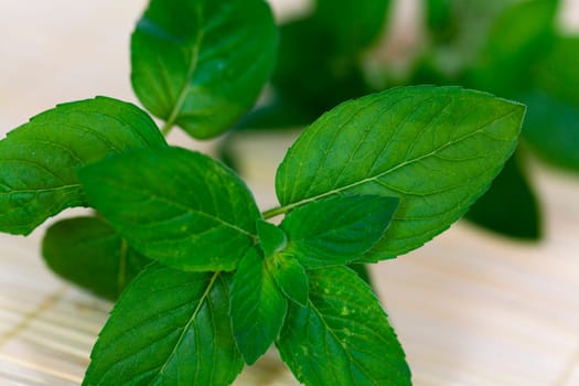 Peppermint
