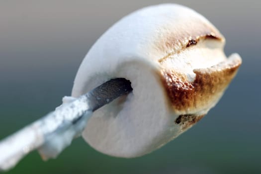 marshmallow