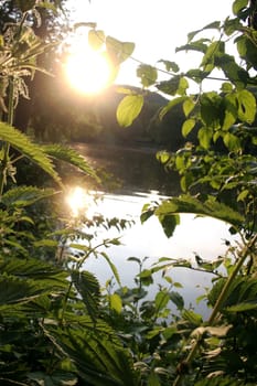 Sunset at the lake