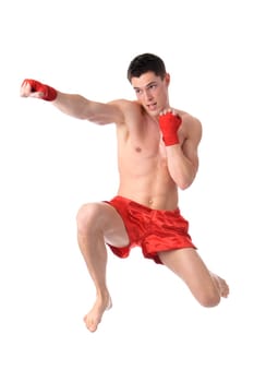 Young boxer