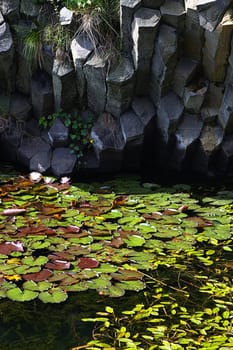 Basalt lake with water lilies