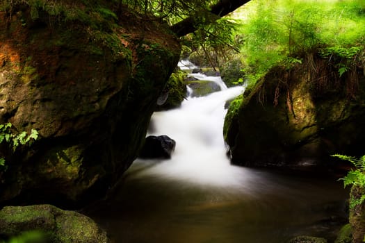 Stream with small waterfall