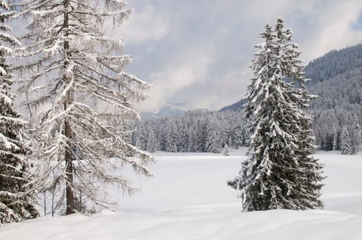 Winter in Bavaria