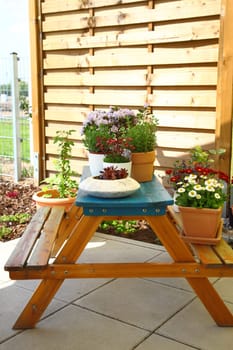 Terrace or roof gardening