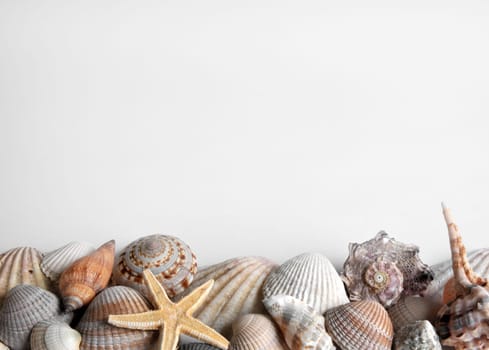 Mussels and starfish