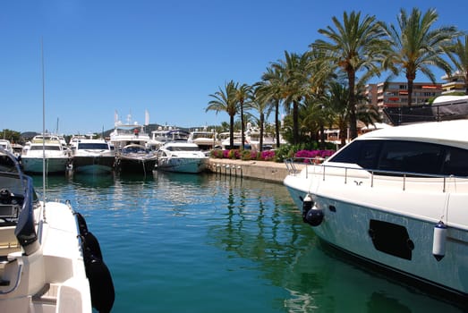 Marina in Mallorca