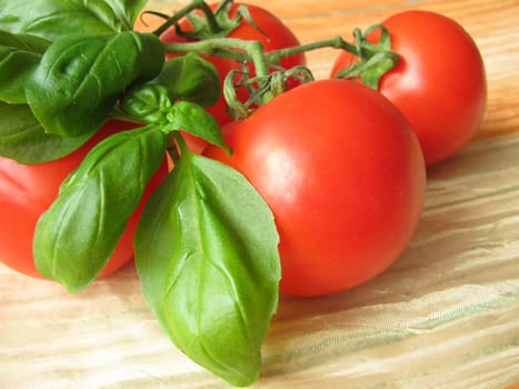Tomato and basil