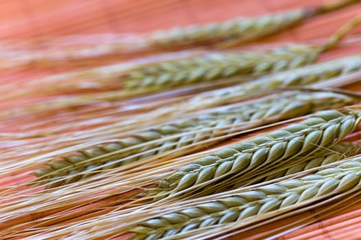 Cereal grain,wheat and ears of corn